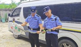 襄阳警察抓捕爆料视频大全,视频大全揭秘惊心动魄执法瞬间